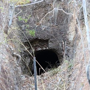 Ghost Bat Cave - Pine Creek
