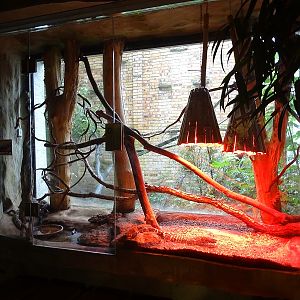 Terrarium in Monkey House