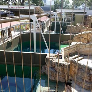 Large Croc Enclosures from Above
