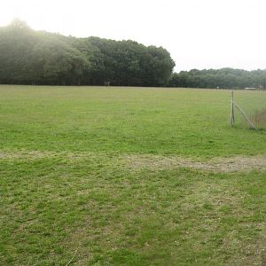 Løvbakke Dyrehave - "Marken"