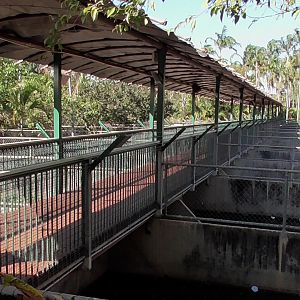 Crocodile Breeding Pens