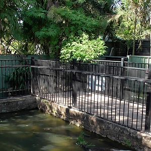 New Guinea Crocodile Enclosures