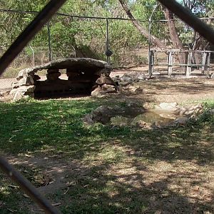 Maned Wolf Enclosure