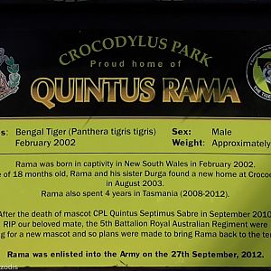 Military Mascot Tiger Sign