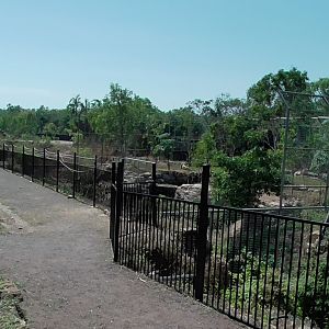 White Lion Enclosures