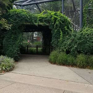 Entrance to Monkey Junction