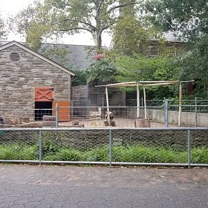 The first KidsZooU exhibit