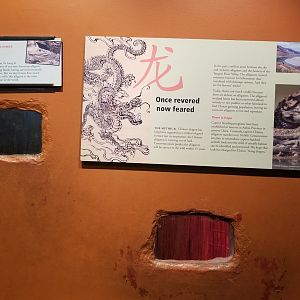 Chinese Alligator exhibit