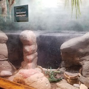 Empty reptile exhibit