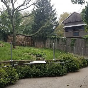Maned Wolf exhibit