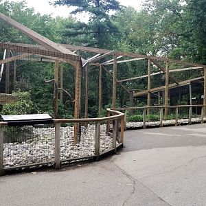 New Bald Eagle exhibit