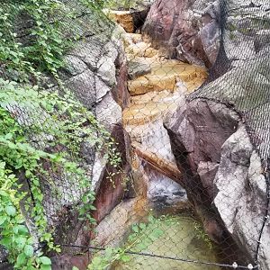 Mini waterfall for otters