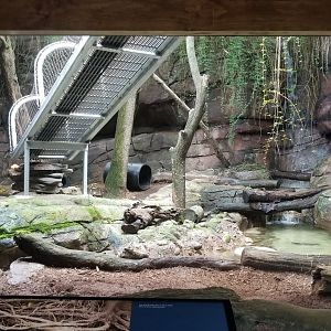 Another Giant Otter enclosure