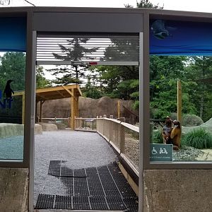 New Penguin Point viewing platform