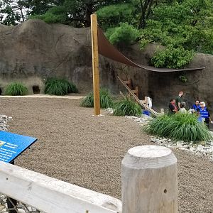 Other end of upper penguin area