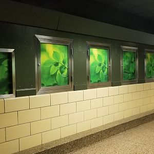 Left side of small mammal house