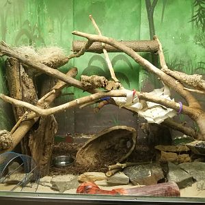 Degu enclosure