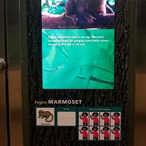 New signs in small mammal house