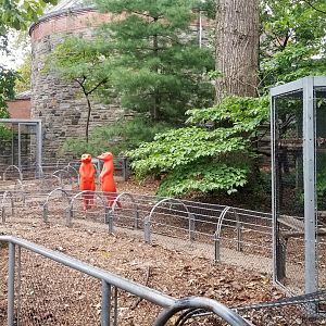 Part of Meerkat 360 trails