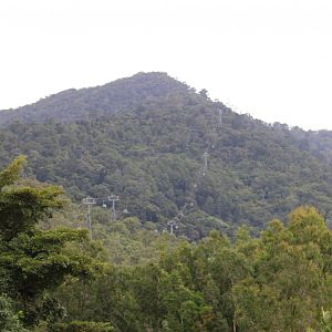 Kuranda Skyrail Cable Car Over the Rainforest