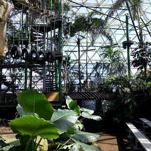 View in the Wildlife Dome