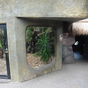 .Golden-head Lion Tamarin enclosure