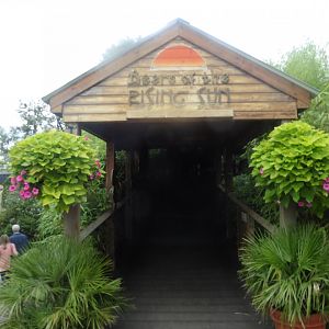 Sun Bear/Rufous (Philippines) Hornbill entrance