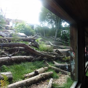 Sun Bear Enclosure