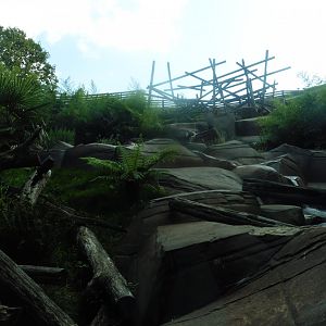 Sun Bear pool & fish tank