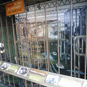 Diorama about the vile bear bile duct trade