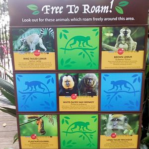 Free-roaming Animals Sign