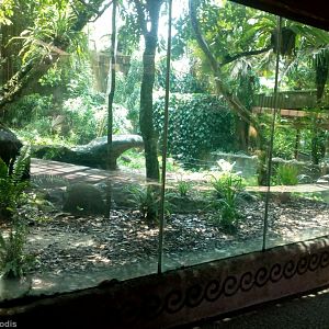 Sun Bear Enclosure