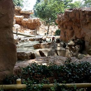 Baboon and Ibex Enclosure