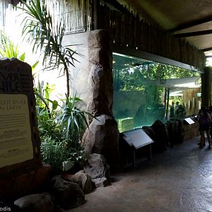 Nile Exhibits