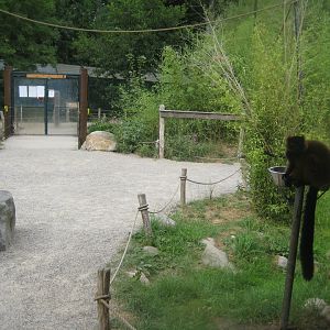 Ree Park - Lemur island #2