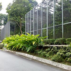 Hornbill Enclosures