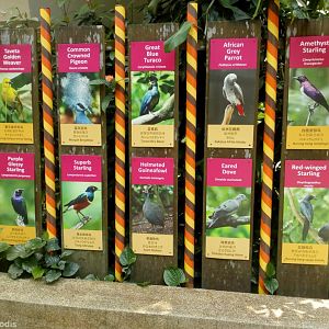Species Signs in Waterfall Aviary
