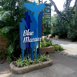 Blue Macaws Exhibit Sign