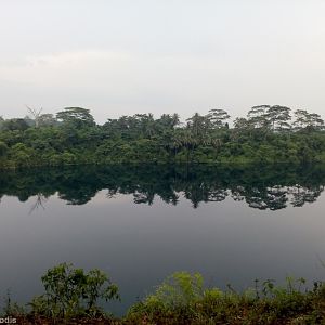 Large Reservoir - Pulau Ubin