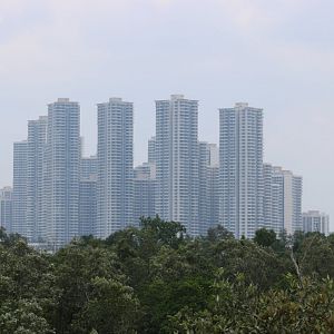 View of Malaysia from Singapore (yes, that is the right way around)