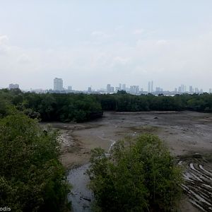 View of Malaysia from Singapore (yes, that is the right way around)