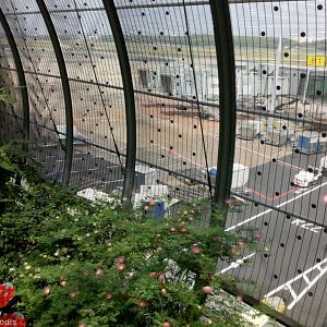 Changi Airport Butterfly Garden