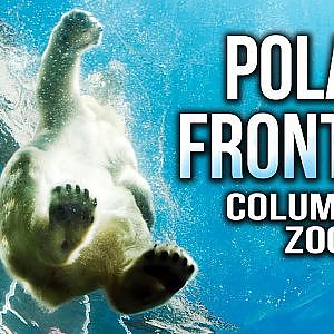 Zoo Tours Ep. 36: The Polar Frontier