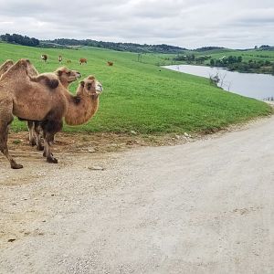 Sep. 2018 - First Pasture (11 Species)