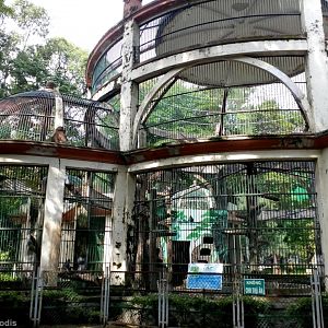 Annamese Silvered Langur Enclosure
