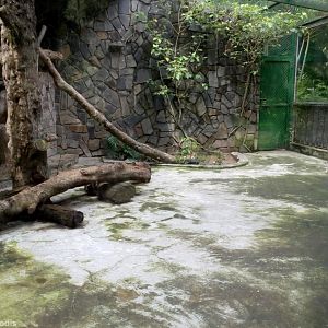Leopard Enclosure