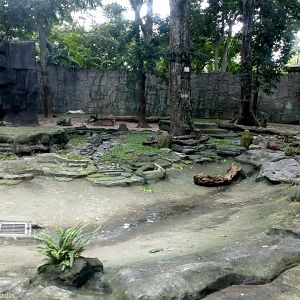 White Tiger Enclosure