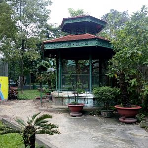 Ferret Badger Enclosure