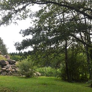 Alpine Ibex Enclosure at Haute-Touche, 14/06/18