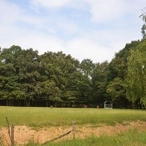Red Deer Enclosure at Haute-Touche, 14/06/18